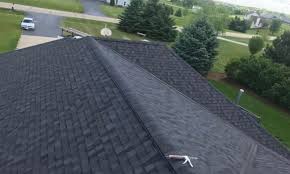 Best Asphalt Shingle Roofing  in Luna Pier, MI